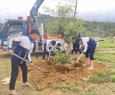  TẾT TRỒNG CÂY – XUÂN BÍNH NGỌ 2026